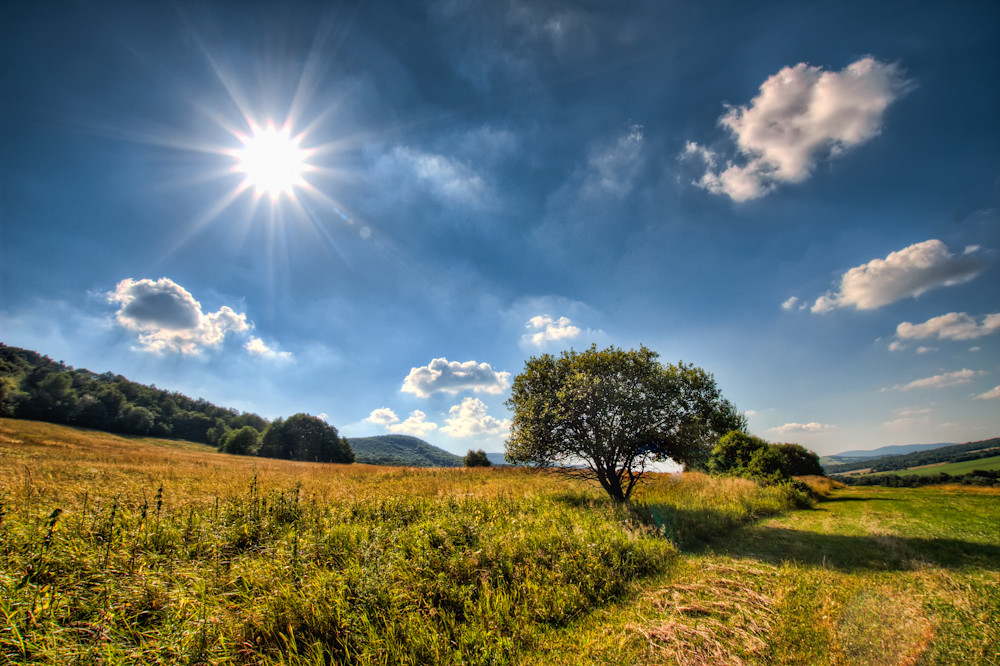 Un paisaje soleado con un sol radiante, nubes esponjosas, un prado verde y un árbol solitario recortado contra las colinas onduladas.