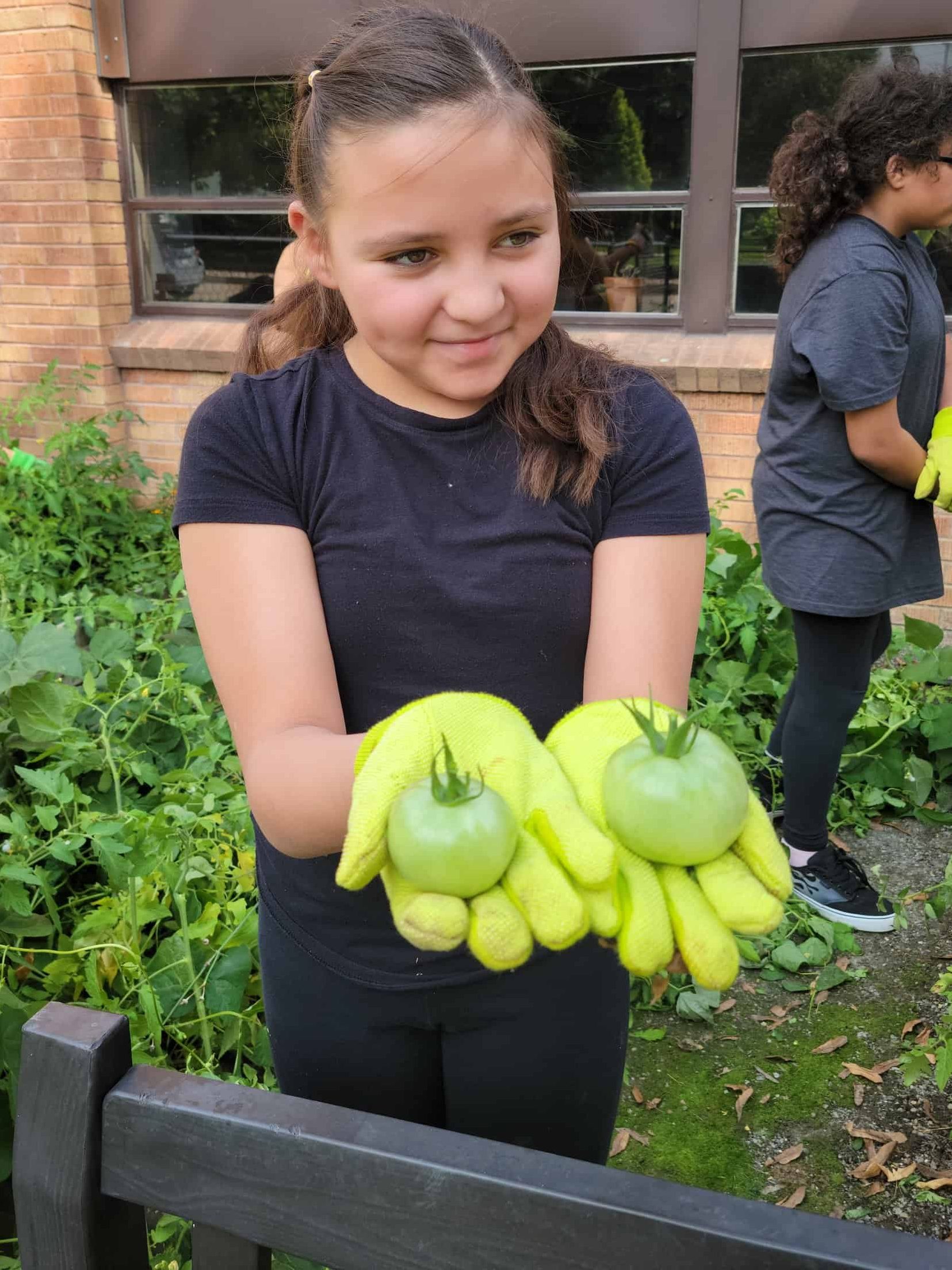 Estudiante con guantes y tomates verdes