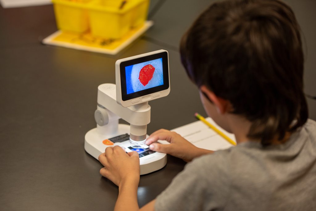 Un niño observa una muestra a través de un microscopio digital, en cuya pantalla se ve un objeto rojo.