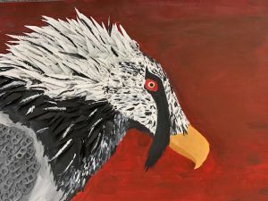 A colorful painting of a bird's head with striking features, set against a deep red background.
