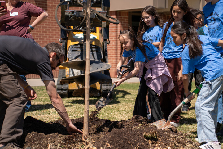 Un grupo de niños con camisetas azules ayuda a plantar un árbol, utilizando palas y herramientas en un entorno al aire libre y soleado.