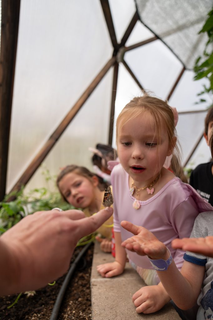 Children watch curiously as a hand holds a butterfly in a greenhouse setting.