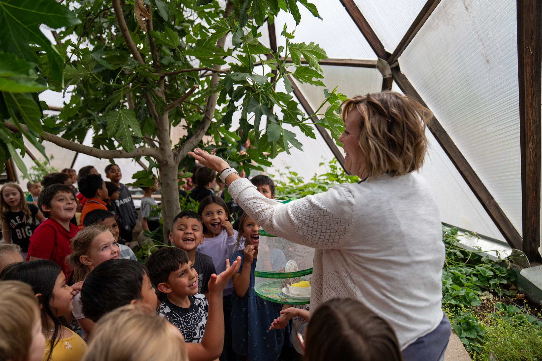 A teacher shows a butterfly in a container to a group of excited children inside a greenhouse.